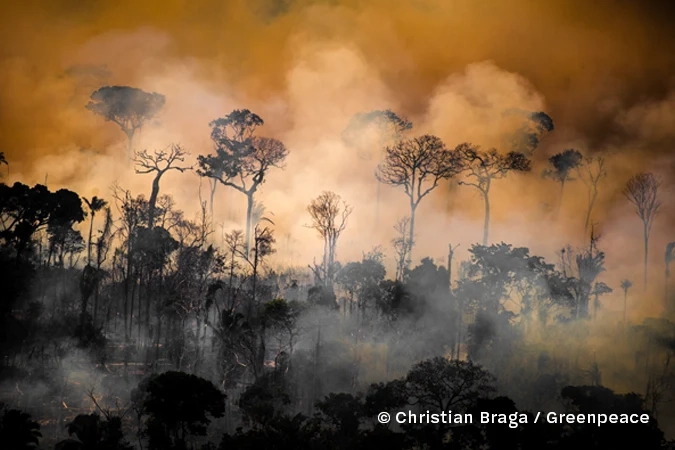 Imagem com focos de calor e queimadas no Município de Lábrea (AM).
